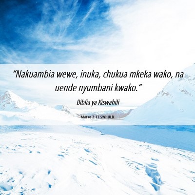 Picture 06 - Marko 2:11 SWHULB - “Nakuambia wewe, inuka, chukua mkeka wako, na - Bible Verse Picture