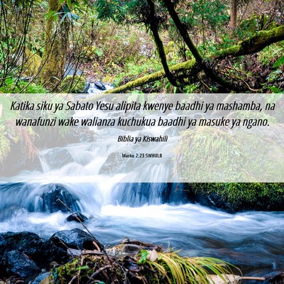 Picture 06 - Marko 2:23 SWHULB - Katika siku ya Sabato Yesu alipita kwenye baadhi - Bible Verse Picture