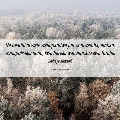 Picture 06 - Marko 4:16 SWHULB - Na baadhi ni wale waliopandwa juu ya mwamba, - Bible Verse Picture