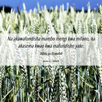 Picture 06 - Marko 4:2 SWHULB - Na akawafundisha mambo mengi kwa mifano, na - Bible Verse Picture