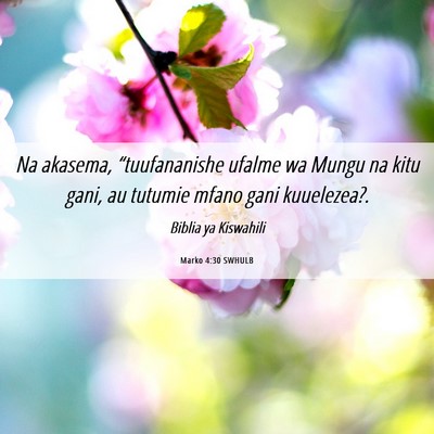 Picture 06 - Marko 4:30 SWHULB - Na akasema, “tuufananishe ufalme wa Mungu na - Bible Verse Picture