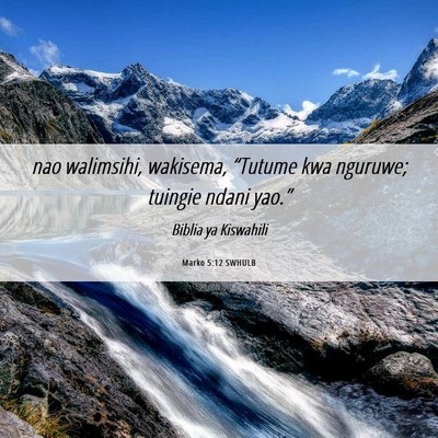 Picture 06 - Marko 5:12 SWHULB - nao walimsihi, wakisema, “Tutume kwa nguruwe; - Bible Verse Picture