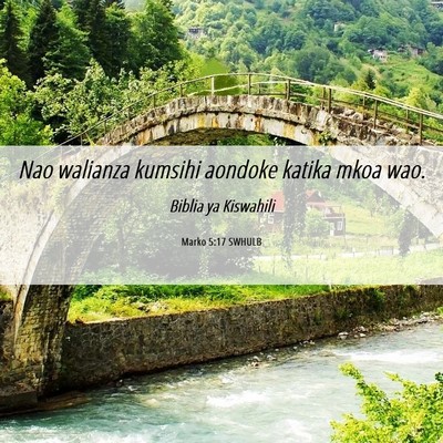 Picture 06 - Marko 5:17 SWHULB - Nao walianza kumsihi aondoke katika mkoa - Bible Verse Picture