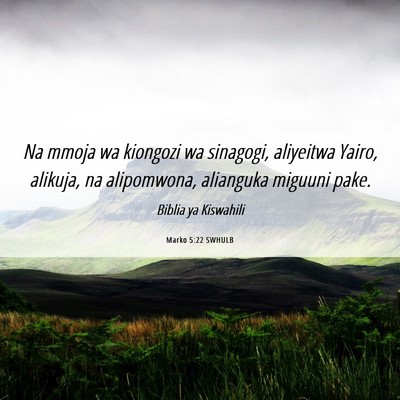 Picture 06 - Marko 5:22 SWHULB - Na mmoja wa kiongozi wa sinagogi, aliyeitwa - Bible Verse Picture