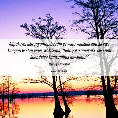 Picture 06 - Marko 5:35 SWHULB - Alipokuwa akizungumza, baadhi ya watu walikuja - Bible Verse Picture