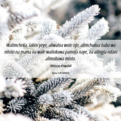 Picture 06 - Marko 5:40 SWHULB - Walimcheka, lakini yeye, aliwatoa wote nje, - Bible Verse Picture