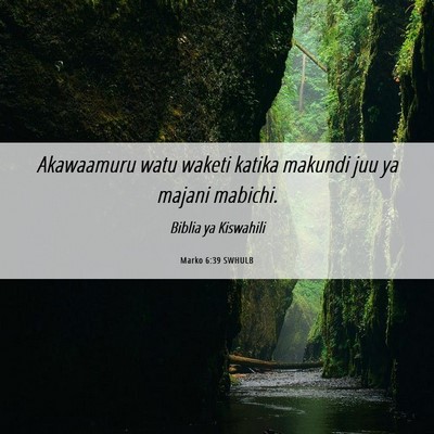Picture 06 - Marko 6:39 SWHULB - Akawaamuru watu waketi katika makundi juu ya - Bible Verse Picture