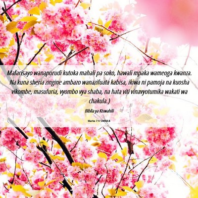 Picture 06 - Marko 7:4 SWHULB - Mafarisayo wanaporudi kutoka mahali pa soko, - Bible Verse Picture