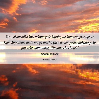 Picture 06 - Marko 8:23 SWHULB - Yesu akamshika kwa mkono yule kipofu, na - Bible Verse Picture