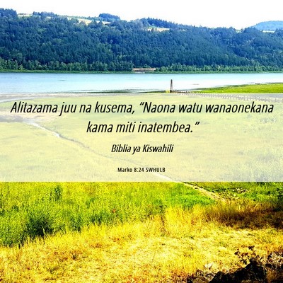 Picture 06 - Marko 8:24 SWHULB - Alitazama juu na kusema, “Naona watu - Bible Verse Picture