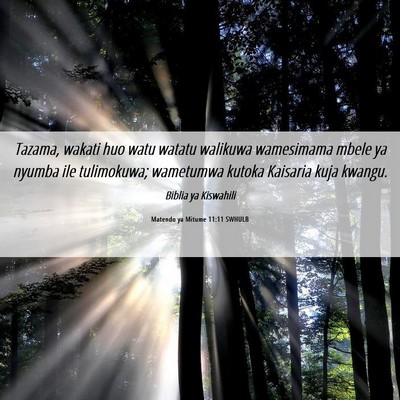 Picture 06 - Matendo ya Mitume 11:11 SWHULB - Tazama, wakati huo watu watatu walikuwa - Bible Verse Picture