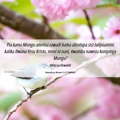 Picture 06 - Matendo ya Mitume 11:17 SWHULB - Pia kama Mungu ametoa zawadi kama alizotupa sisi - Bible Verse Picture