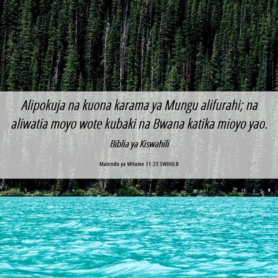 Picture 06 - Matendo ya Mitume 11:23 SWHULB - Alipokuja na kuona karama ya Mungu alifurahi; na - Bible Verse Picture