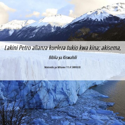 Picture 06 - Matendo ya Mitume 11:4 SWHULB - Lakini Petro alianza kueleza tukio kwa kina; - Bible Verse Picture