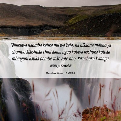 Picture 06 - Matendo ya Mitume 11:5 SWHULB - “Nilikuwa naomba katika mji wa Yafa, na nikaona - Bible Verse Picture