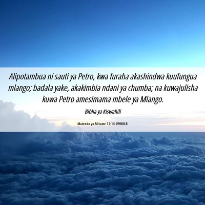 Picture 06 - Matendo ya Mitume 12:14 SWHULB - Alipotambua ni sauti ya Petro, kwa furaha - Bible Verse Picture