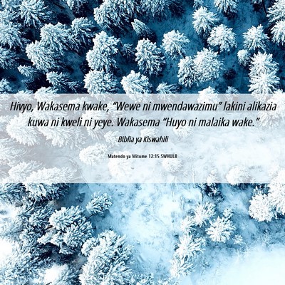 Picture 06 - Matendo ya Mitume 12:15 SWHULB - Hivyo, Wakasema kwake, “Wewe ni mwendawazimu” - Bible Verse Picture