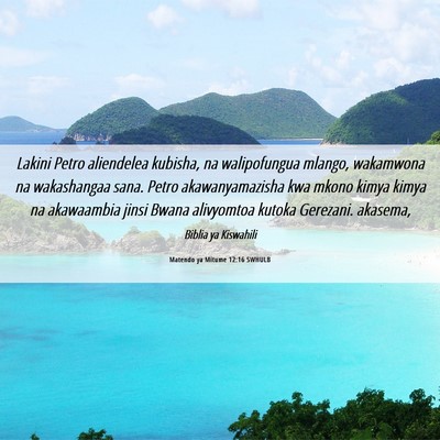 Picture 06 - Matendo ya Mitume 12:16 SWHULB - Lakini Petro aliendelea kubisha, na walipofungua - Bible Verse Picture