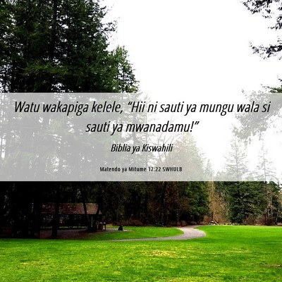 Picture 06 - Matendo ya Mitume 12:22 SWHULB - Watu wakapiga kelele, “Hii ni sauti ya mungu - Bible Verse Picture