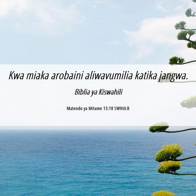 Picture 06 - Matendo ya Mitume 13:18 SWHULB - Kwa miaka arobaini aliwavumilia katika - Bible Verse Picture