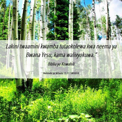 Picture 06 - Matendo ya Mitume 15:11 SWHULB - Lakini twaamini kwamba tutaokolewa kwa neema ya - Bible Verse Picture