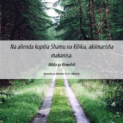 Picture 06 - Matendo ya Mitume 15:41 SWHULB - Na alienda kupitia Shamu na Kilikia, akiimarisha - Bible Verse Picture