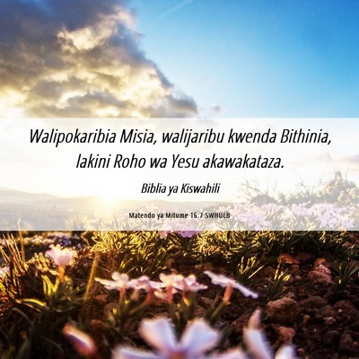 Picture 06 - Matendo ya Mitume 16:7 SWHULB - Walipokaribia Misia, walijaribu kwenda Bithinia, - Bible Verse Picture
