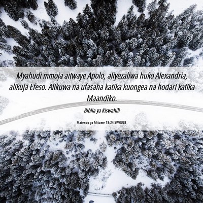 Picture 06 - Matendo ya Mitume 18:24 SWHULB - Myahudi mmoja aitwaye Apolo, aliyezaliwa huko - Bible Verse Picture