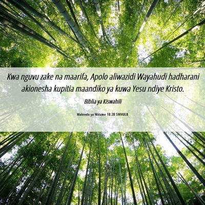 Picture 06 - Matendo ya Mitume 18:28 SWHULB - Kwa nguvu zake na maarifa, Apolo aliwazidi - Bible Verse Picture
