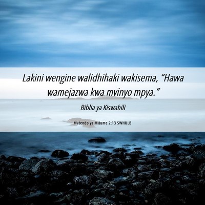 Picture 06 - Matendo ya Mitume 2:13 SWHULB - Lakini wengine walidhihaki wakisema, “Hawa - Bible Verse Picture
