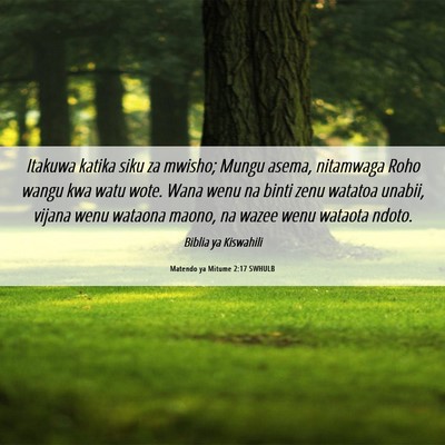 Picture 06 - Matendo ya Mitume 2:17 SWHULB - Itakuwa katika siku za mwisho; Mungu asema, - Bible Verse Picture