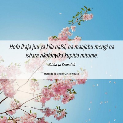 Picture 06 - Matendo ya Mitume 2:43 SWHULB - Hofu ikaja juu ya kila nafsi, na maajabu mengi na - Bible Verse Picture