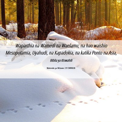 Picture 06 - Matendo ya Mitume 2:9 SWHULB - Waparthia na Wamedi na Waelamu, na hao waishio - Bible Verse Picture