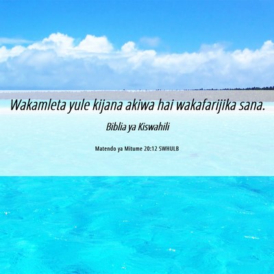Picture 06 - Matendo ya Mitume 20:12 SWHULB - Wakamleta yule kijana akiwa hai wakafarijika - Bible Verse Picture
