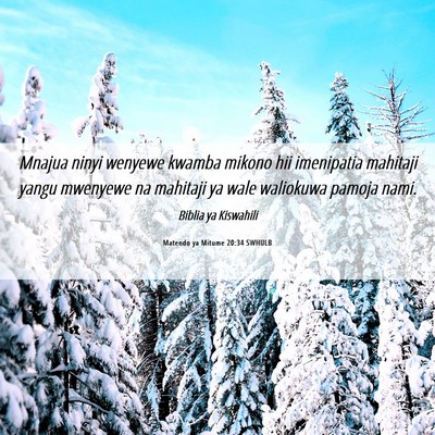 Picture 06 - Matendo ya Mitume 20:34 SWHULB - Mnajua ninyi wenyewe kwamba mikono hii imenipatia - Bible Verse Picture