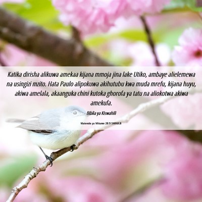 Picture 06 - Matendo ya Mitume 20:9 SWHULB - Katika dirisha alikuwa amekaa kijana mmoja jina - Bible Verse Picture