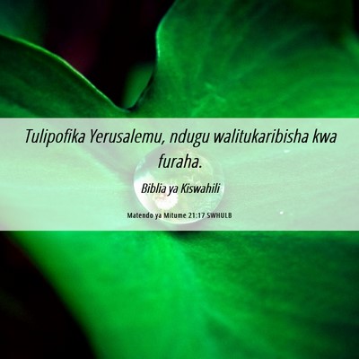 Picture 06 - Matendo ya Mitume 21:17 SWHULB - Tulipofika Yerusalemu, ndugu walitukaribisha kwa - Bible Verse Picture