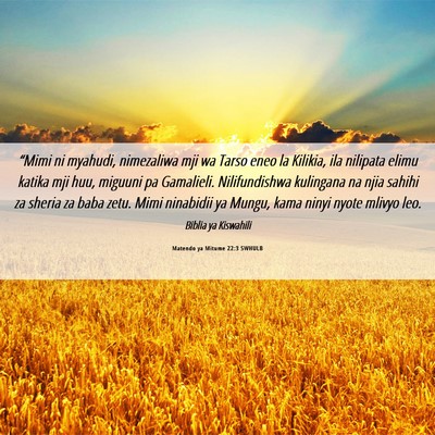 Picture 06 - Matendo ya Mitume 22:3 SWHULB - “Mimi ni myahudi, nimezaliwa mji wa Tarso eneo - Bible Verse Picture