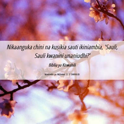 Picture 06 - Matendo ya Mitume 22:7 SWHULB - Nikaanguka chini na kusikia sauti ikiniambia, - Bible Verse Picture