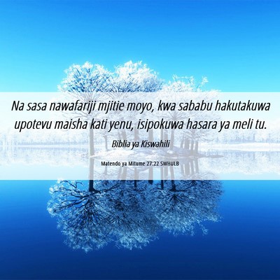 Picture 06 - Matendo ya Mitume 27:22 SWHULB - Na sasa nawafariji mjitie moyo, kwa sababu - Bible Verse Picture