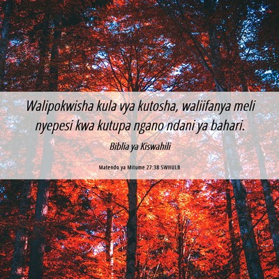 Picture 06 - Matendo ya Mitume 27:38 SWHULB - Walipokwisha kula vya kutosha, waliifanya meli - Bible Verse Picture
