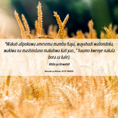 Picture 06 - Matendo ya Mitume 28:29 SWHULB - “Wakati alipokuwa amesema mambo haya, wayahudi - Bible Verse Picture