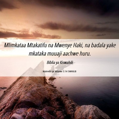 Picture 06 - Matendo ya Mitume 3:14 SWHULB - Mlimkataa Mtakatifu na Mwenye Haki, na badala - Bible Verse Picture