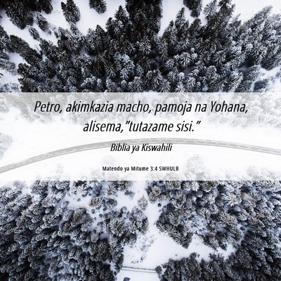 Picture 06 - Matendo ya Mitume 3:4 SWHULB - Petro, akimkazia macho, pamoja na Yohana, - Bible Verse Picture