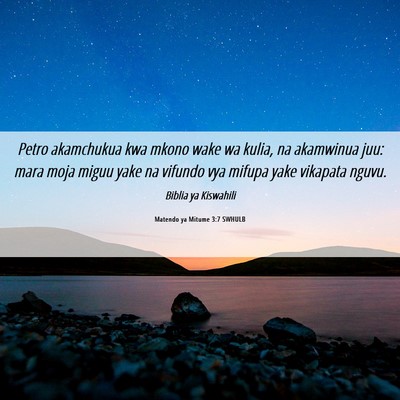 Picture 06 - Matendo ya Mitume 3:7 SWHULB - Petro akamchukua kwa mkono wake wa kulia, na - Bible Verse Picture