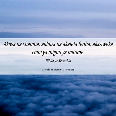Picture 06 - Matendo ya Mitume 4:37 SWHULB - Akiwa na shamba, aliliuza na akaleta fedha, - Bible Verse Picture