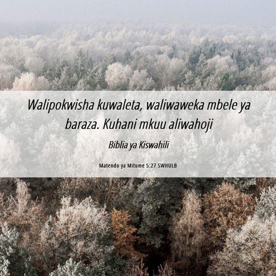 Picture 06 - Matendo ya Mitume 5:27 SWHULB - Walipokwisha kuwaleta, waliwaweka mbele ya - Bible Verse Picture