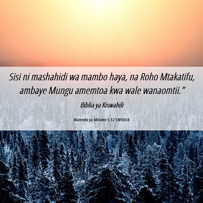 Picture 06 - Matendo ya Mitume 5:32 SWHULB - Sisi ni mashahidi wa mambo haya, na Roho - Bible Verse Picture