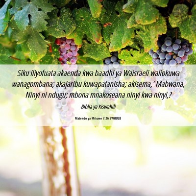 Picture 06 - Matendo ya Mitume 7:26 SWHULB - Siku iliyofuata akaenda kwa baadhi ya Waisraeli - Bible Verse Picture