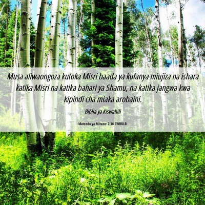 Picture 06 - Matendo ya Mitume 7:36 SWHULB - Musa aliwaongoza kutoka Misri baada ya kufanya - Bible Verse Picture